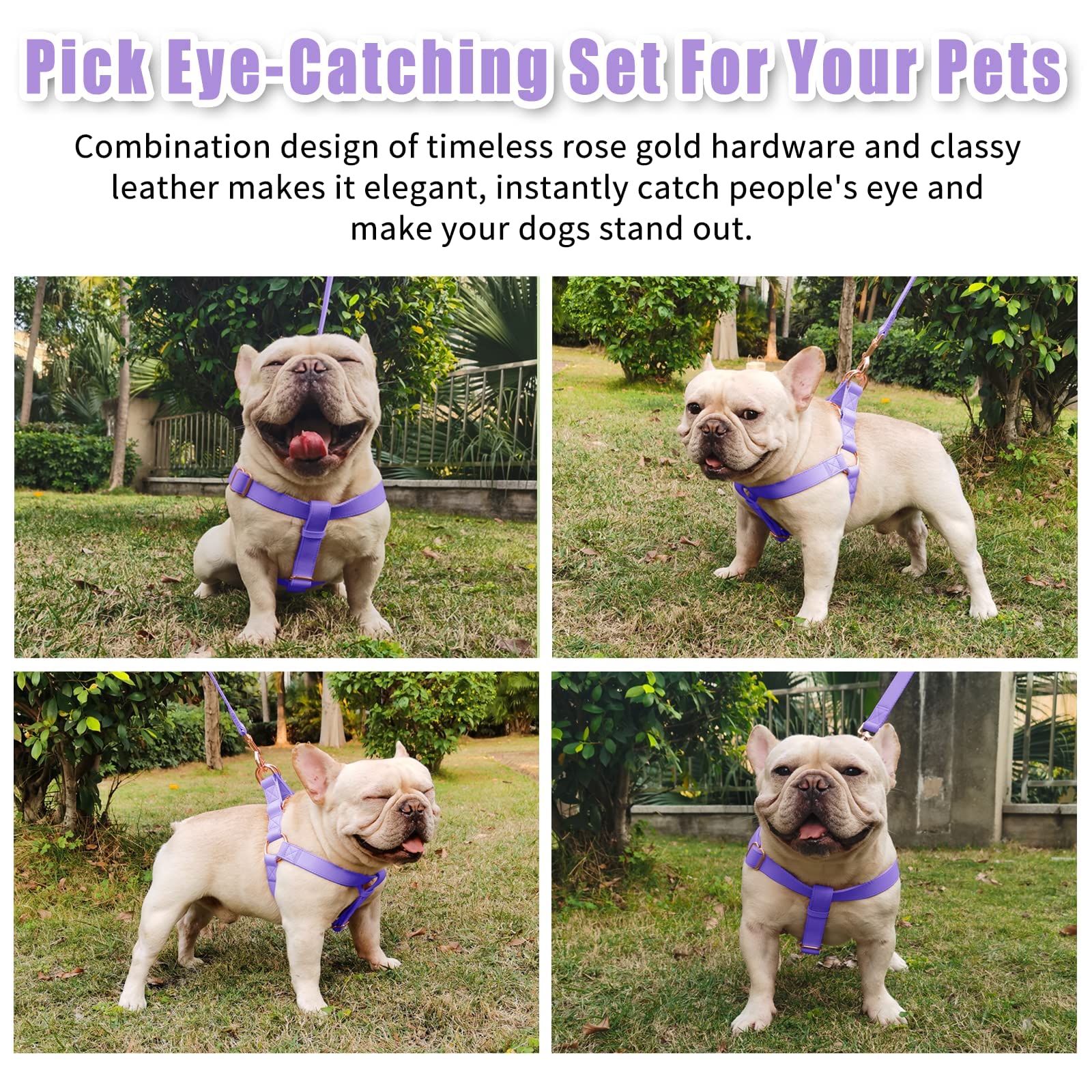 Soft Leather No Pull Dog Harness - Adjustable Step In Dog Harness With Rose Gold Heavy Duty Metal Buckle, Freedom Nylon Dog Halt